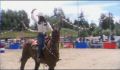 dr dolittle 3-avi_1000_082.jpg